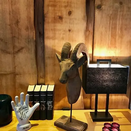 Friedrich Apartamento *